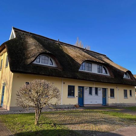 Villa Reetdachhaus Holunder 2 Puddemin Esterno foto